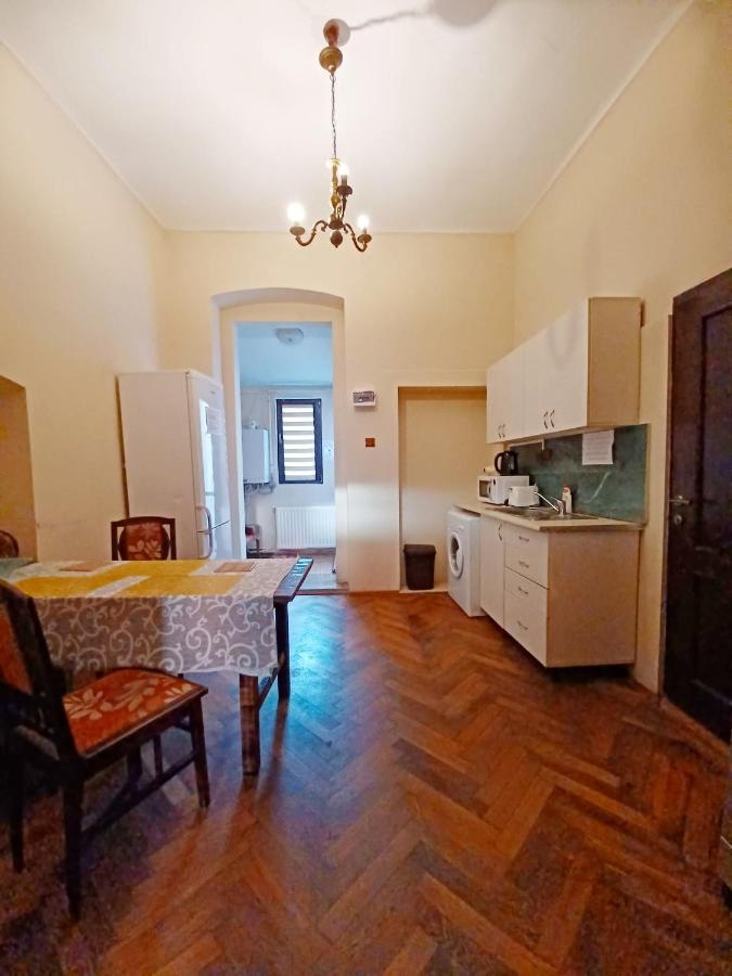 Aristocrat Vintage Apartment Брашов Екстер'єр фото
